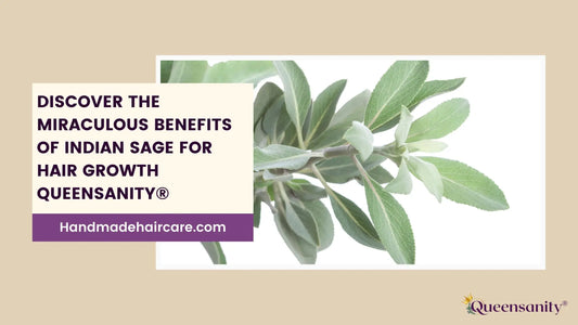 Discover-the-Miraculous-Benefits-of-Indian-Sage-for-Hair-Growth-Queensanity QueenSanity