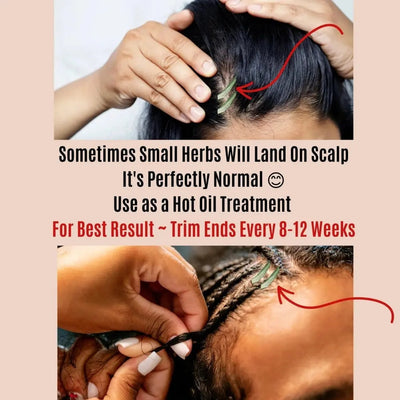 Kakadu Plum|Hair Loss Oil Hair