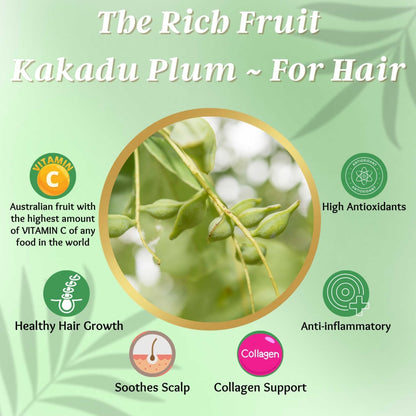 Kakadu Plum Chebe Hair Loss Growth Oil