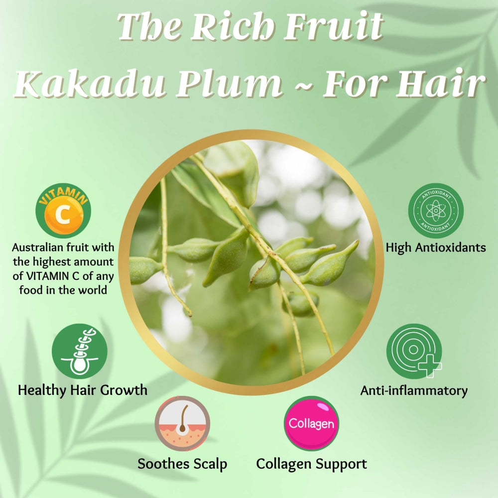 Kakadu Plum|Hair Loss Oil