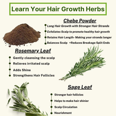 Rosemary & Sage Hair Growth Oil
